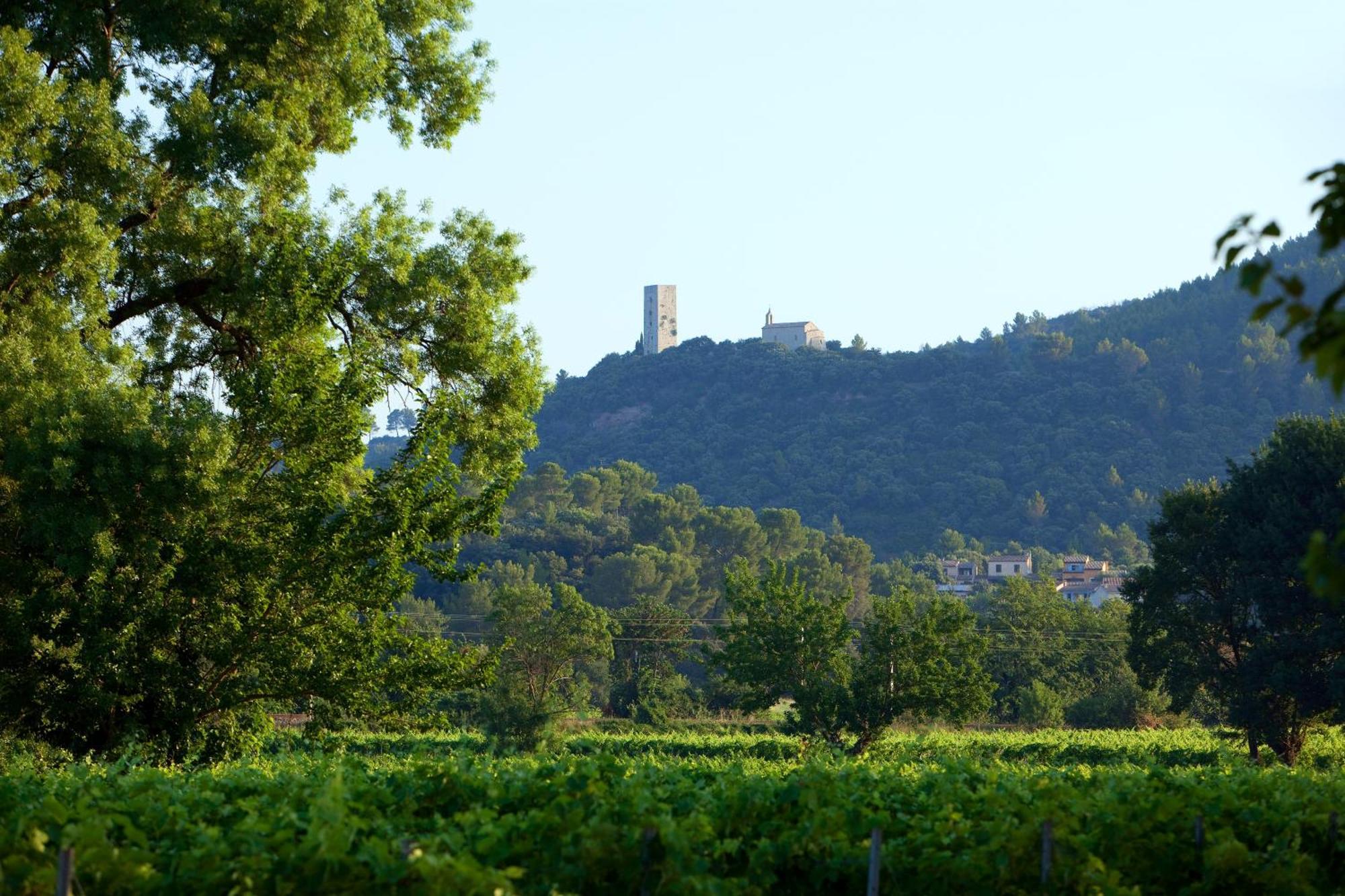Chateau De Saint Martin Taradeau Екстер'єр фото