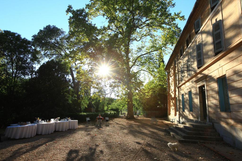 Chateau De Saint Martin Taradeau Екстер'єр фото