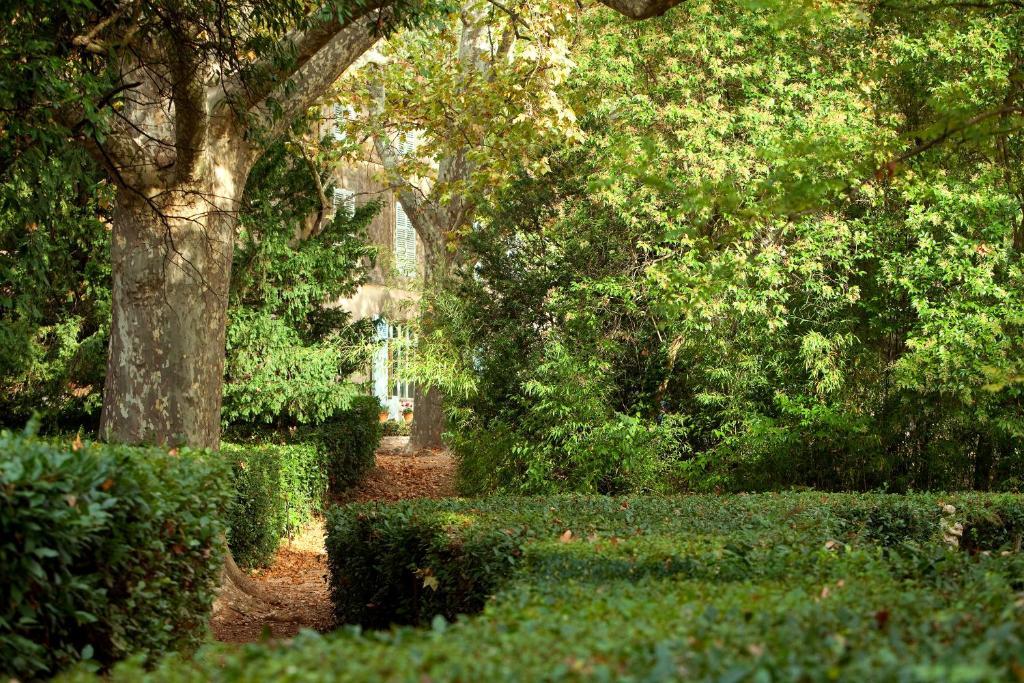 Chateau De Saint Martin Taradeau Екстер'єр фото
